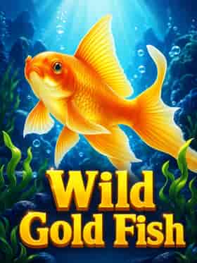 spinomenal/wild-gold-fish
