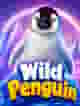 Wild Penguin